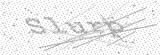 Security Picture (click to change)