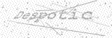 Security Picture (click to change)