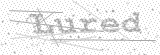 Security Picture (click to change)