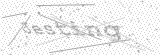 Security Picture (click to change)