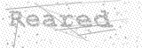 Security Picture (click to change)