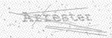 Security Picture (click to change)