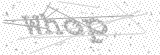 Security Picture (click to change)