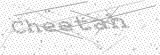 Security Picture (click to change)