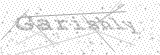 Security Picture (click to change)
