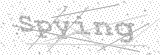 Security Picture (click to change)