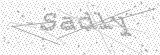 Security Picture (click to change)