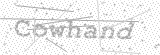 Security Picture (click to change)
