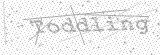 Security Picture (click to change)