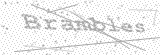 Security Picture (click to change)