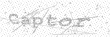 Security Picture (click to change)