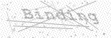 Security Picture (click to change)
