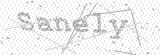 Security Picture (click to change)