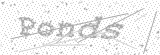 Security Picture (click to change)