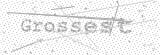 Security Picture (click to change)