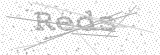 Security Picture (click to change)