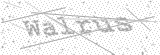 Security Picture (click to change)