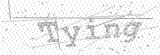 Security Picture (click to change)