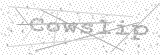 Security Picture (click to change)
