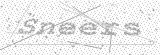 Security Picture (click to change)
