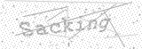 Security Picture (click to change)