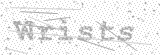 Security Picture (click to change)