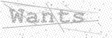 Security Picture (click to change)
