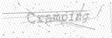 Security Picture (click to change)