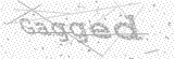 Security Picture (click to change)