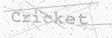 Security Picture (click to change)
