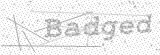 Security Picture (click to change)