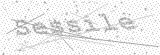 Security Picture (click to change)