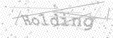 Security Picture (click to change)