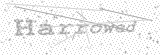 Security Picture (click to change)
