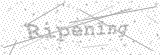 Security Picture (click to change)