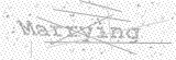 Security Picture (click to change)