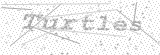Security Picture (click to change)