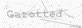 Security Picture (click to change)