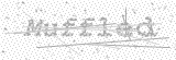 Security Picture (click to change)