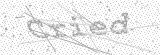 Security Picture (click to change)