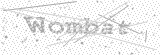 Security Picture (click to change)