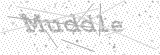 Security Picture (click to change)