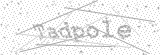 Security Picture (click to change)
