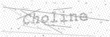 Security Picture (click to change)