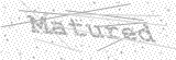 Security Picture (click to change)