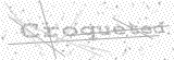 Security Picture (click to change)