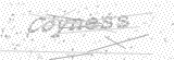 Security Picture (click to change)