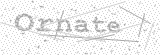 Security Picture (click to change)