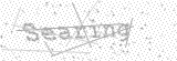 Security Picture (click to change)