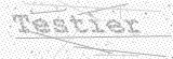 Security Picture (click to change)